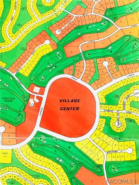 Homes For Sale - 110 Cypress Circle<br/> Homosassa, FL 34446