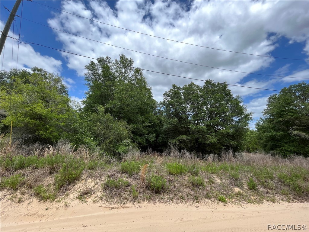 2610 Van Buren Street, Inverness, New York image 2