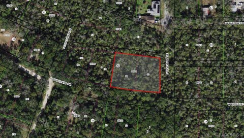 Vacant Land For Sale - 5797 S Boulevard Drive<br/> Homosassa, FL 34448