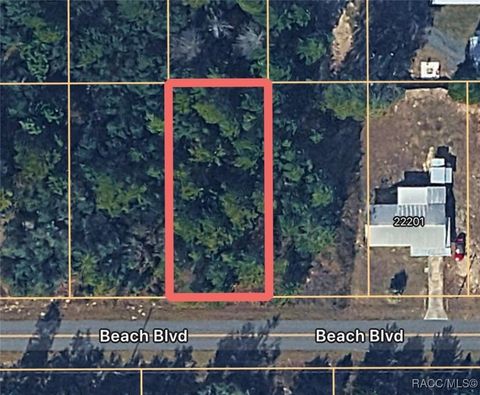 Vacant Land For Sale - 0000 SW Beach #050 Boulevard<br/> Dunnellon, FL 34431