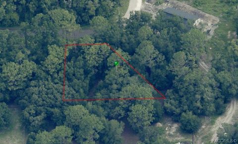 Vacant Land For Sale - 9542 W Sandra Street<br/> Crystal River, FL 34428