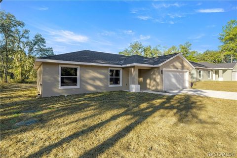 Homes For Sale - 11370 SE 123rd Avenue<br/> Dunnellon, FL 34431