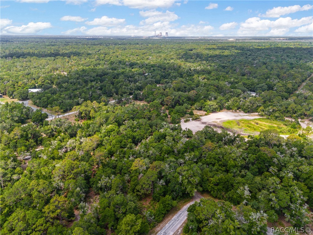 12180 W Olive Tree Lane, Crystal River, New York image 4