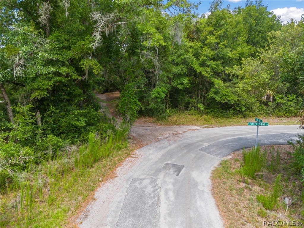 12180 W Olive Tree Lane, Crystal River, New York image 3