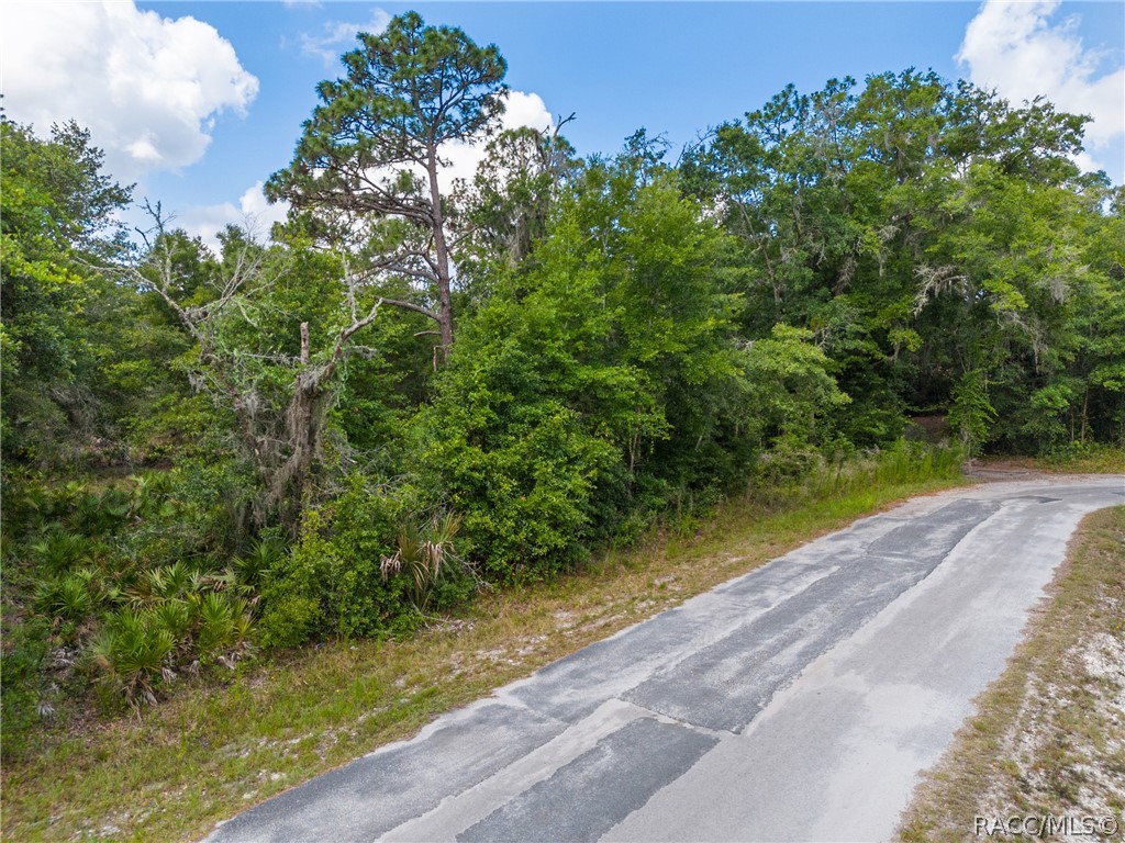 12180 W Olive Tree Lane, Crystal River, New York image 1