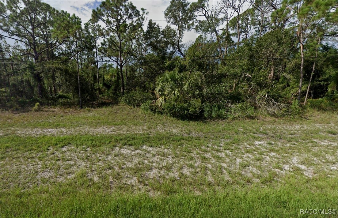 00 Tropicaire Boulevard, North Port, Florida image 1