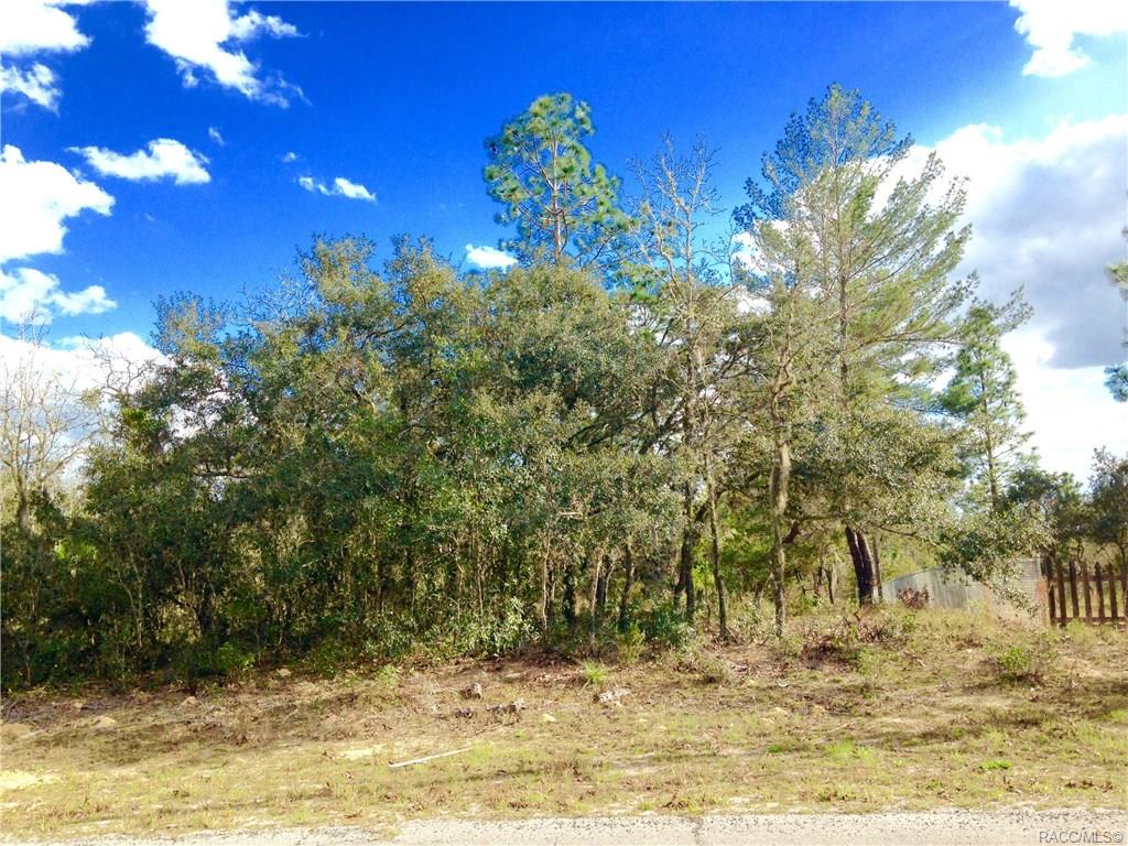 2590 W Bravura Drive, Citrus Springs, Florida image 4