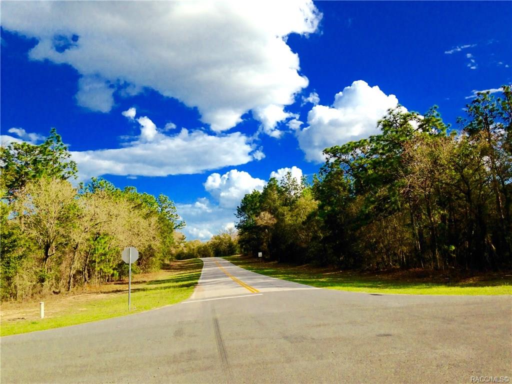 2590 W Bravura Drive, Citrus Springs, Florida image 17