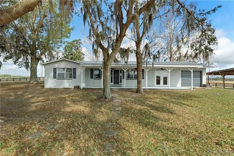 5419 E Stage Coach Trail Floral City FL 34436
