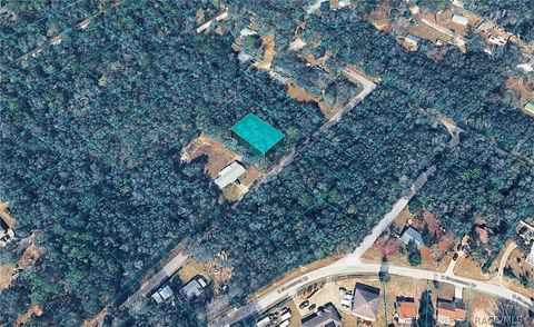 Vacant Land For Sale - 6600 N Pagoda Tree Terrace<br/> Hernando, FL 34442