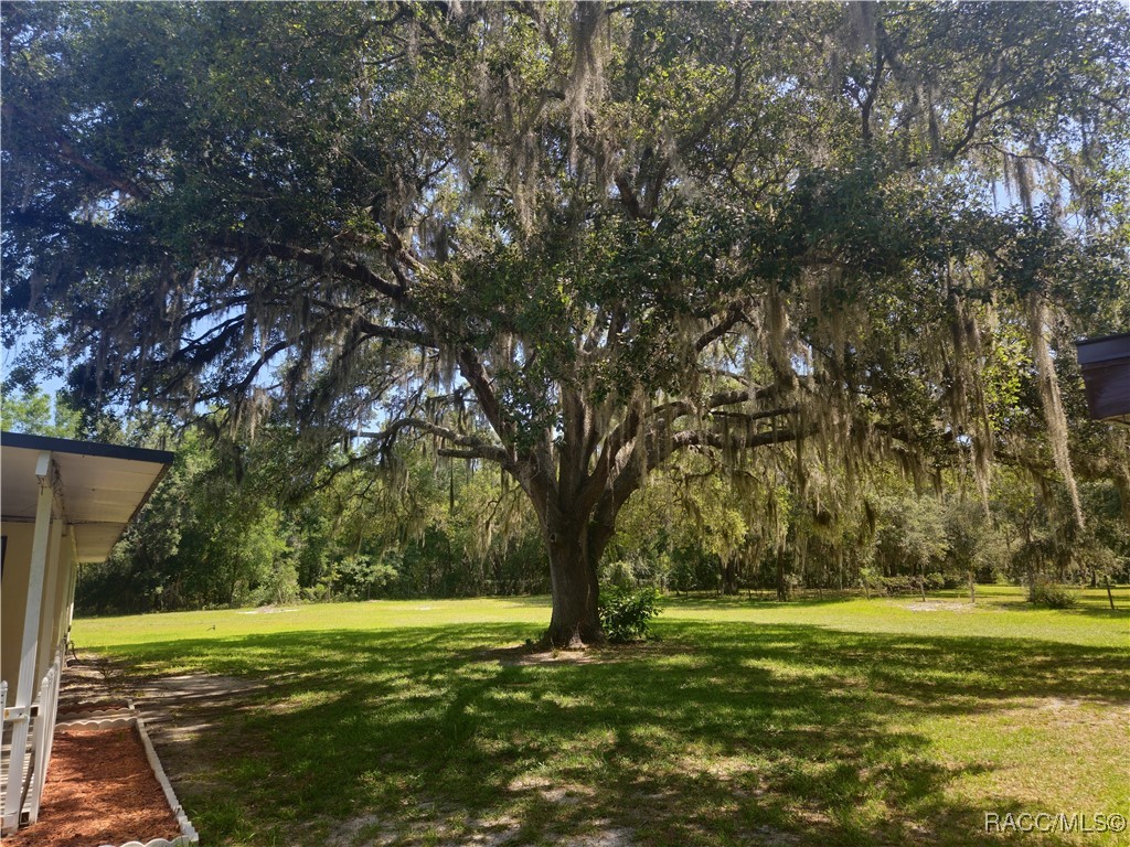 7781 N Lazy Trail, Crystal River, Florida image 40