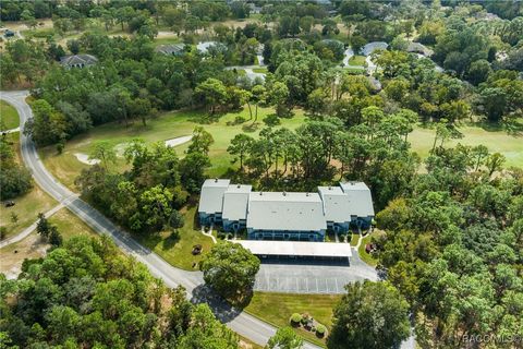 A home in Homosassa