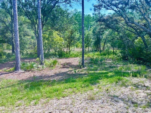 6906 W Barbara Ann Lane, Homosassa, New York image 29