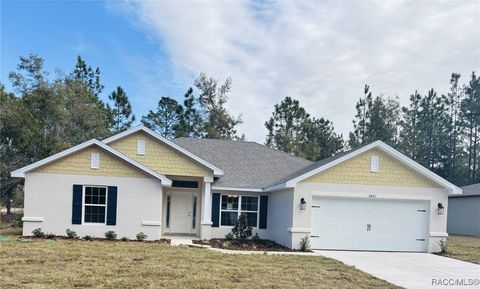 A home in Citrus Springs