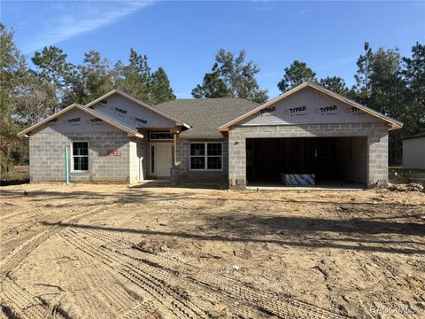 A home in Citrus Springs