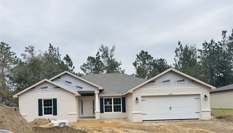 A home in Citrus Springs