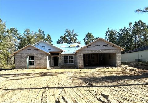 A home in Citrus Springs