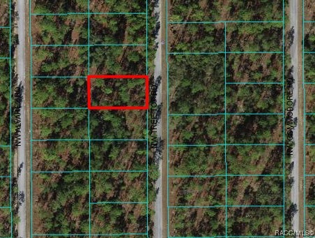 0000 NW Tree Top Unit #021 Road, Dunnellon, Florida image 1