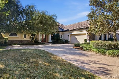 1428 N Ridge Meadow Path Hernando FL 34442