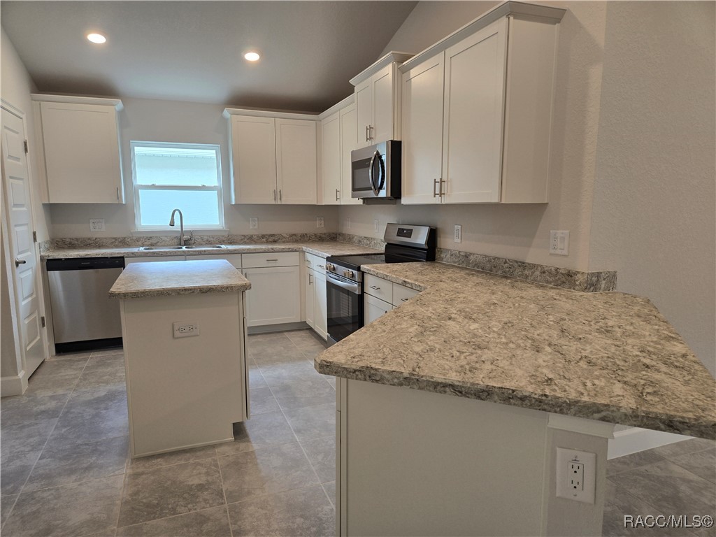 1025 Heron Point Drive, Inverness, Florida image 3