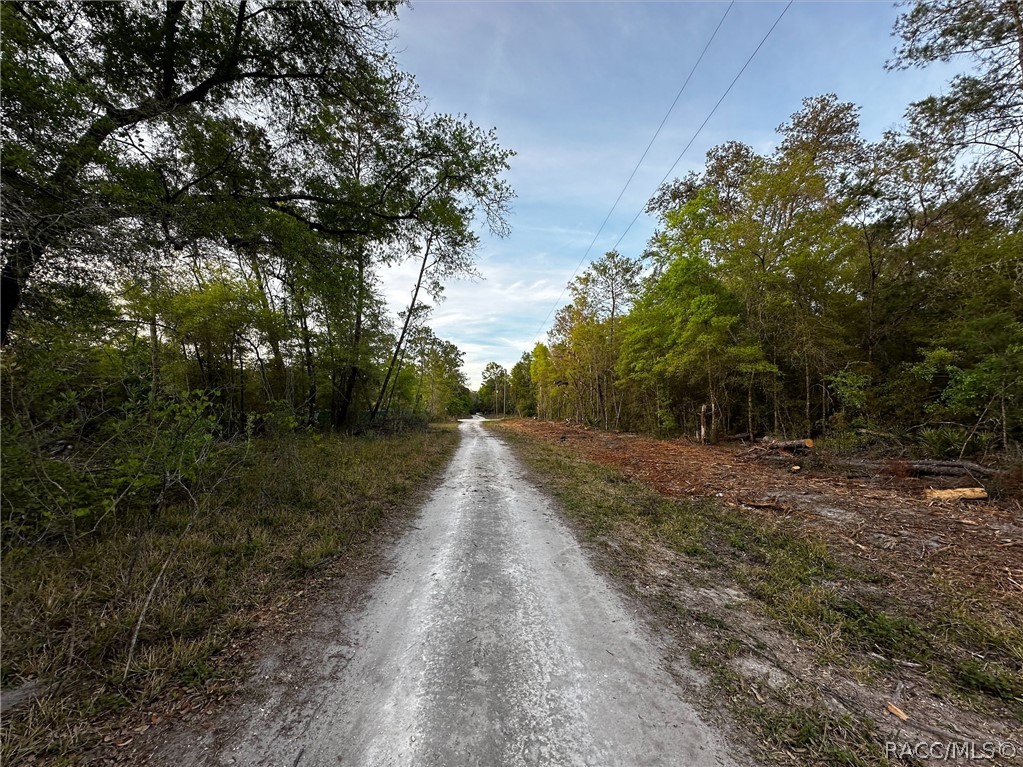 23213 NE 111th Court, Fort McCoy, Florida image 41