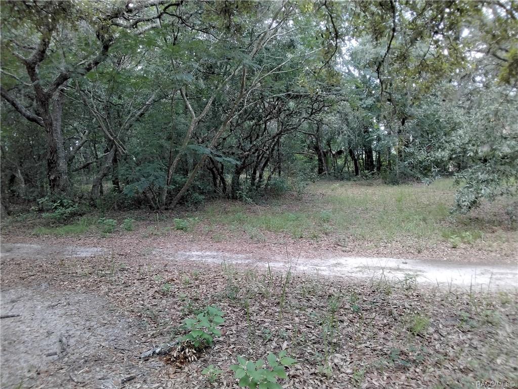 3 Woodlee Court, Homosassa, New York image 5