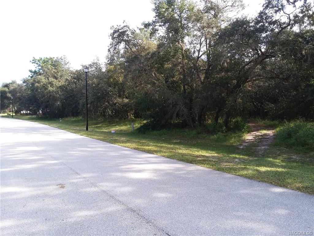 3 Woodlee Court, Homosassa, New York image 2