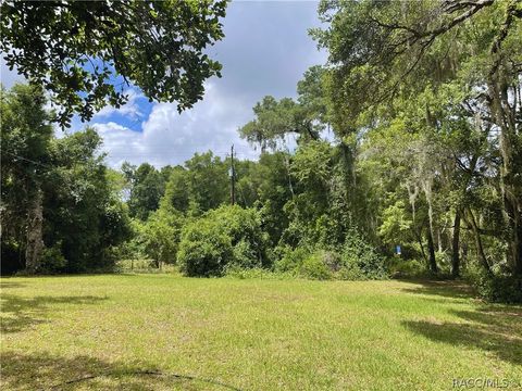 Vacant Land For Sale - 9381 S Great Oaks Drive<br/> Floral City, FL 34436