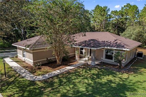 3327 W Brazilnut Road Beverly Hills FL 34465