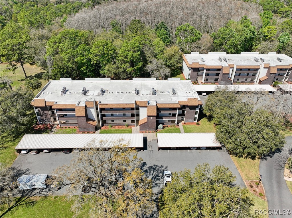 1 Cypress Run #15-B, Homosassa, Florida image 33