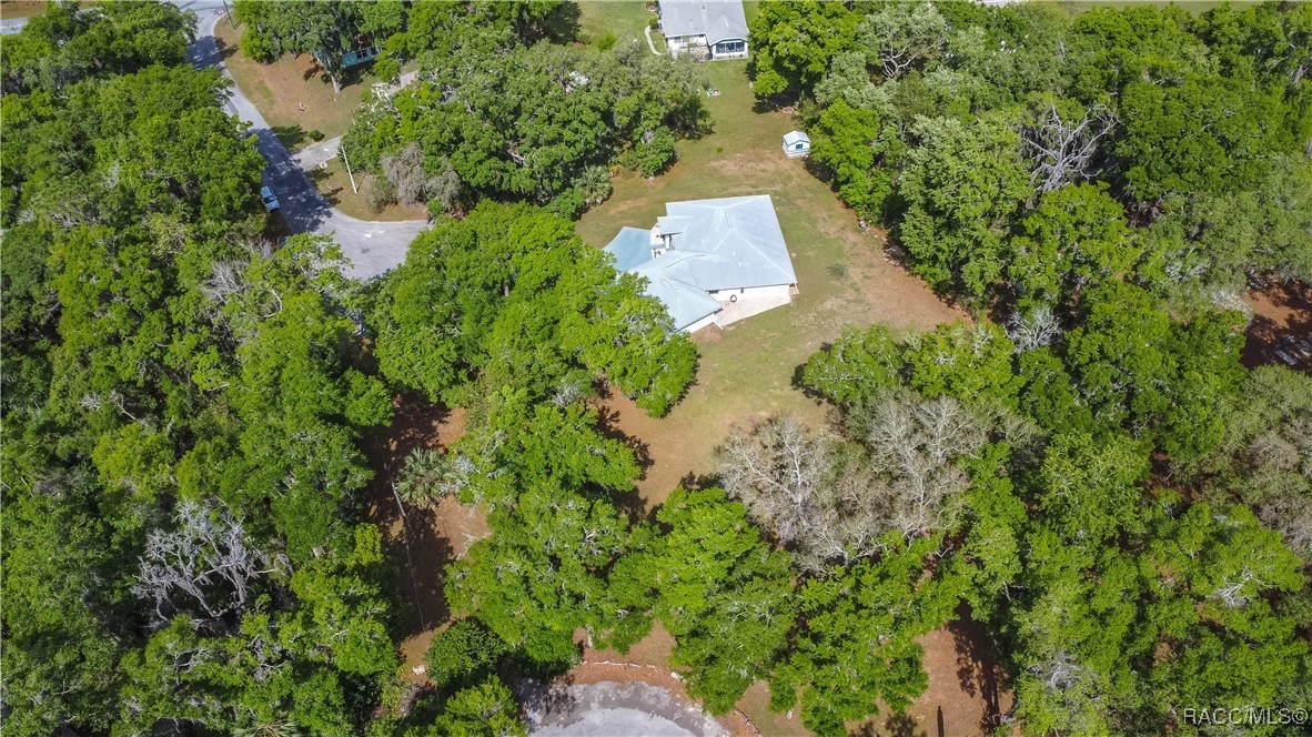 3339 E Axelford Court, Hernando, Florida image 50