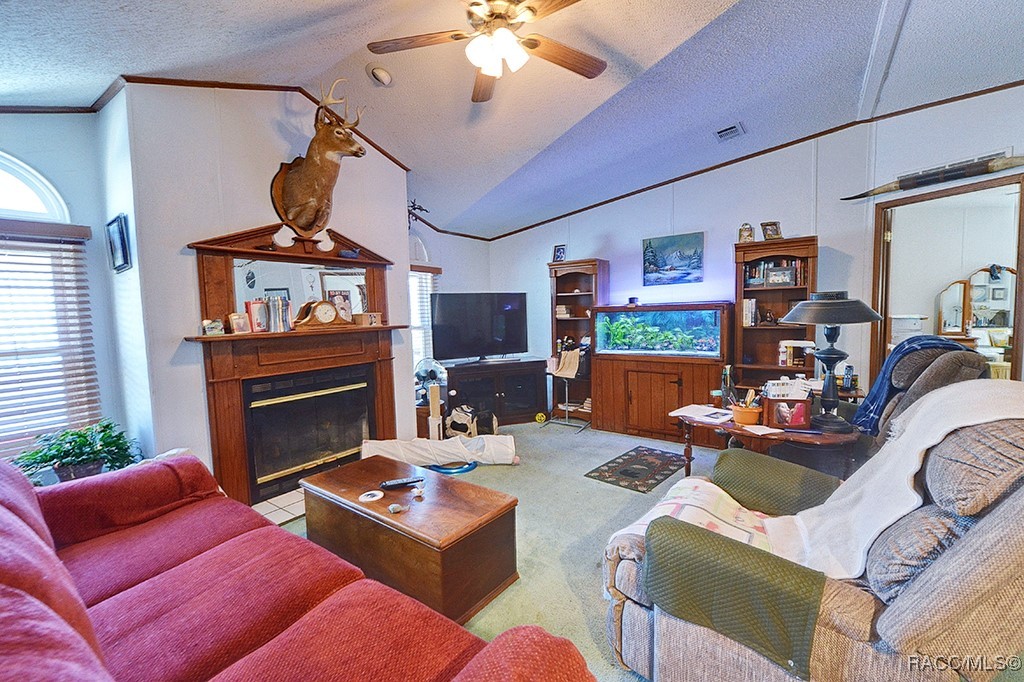 5155 E Muzzle Loaders Court, Inverness, Florida image 7