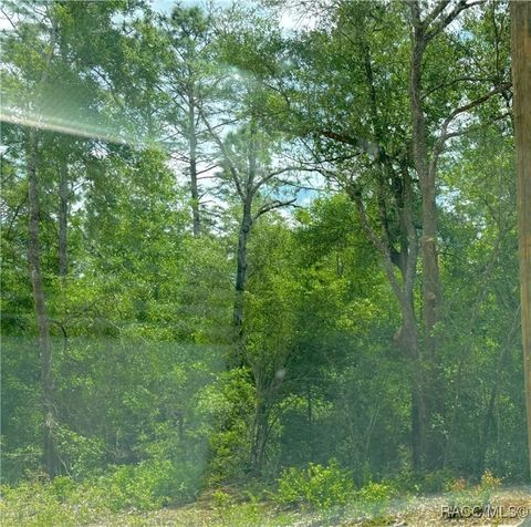 Vacant Land For Sale - 8164 W Napoli Lane<br/> Crystal River, FL 34428