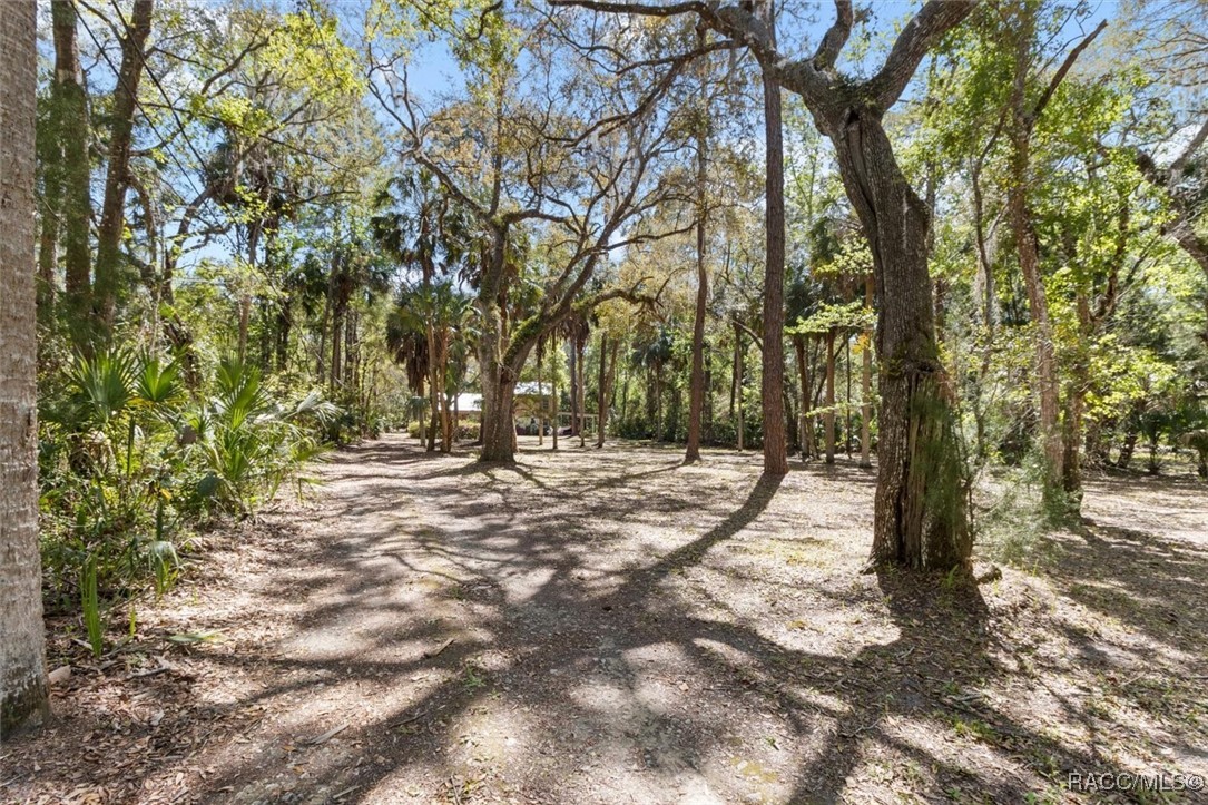 9410 W Spring Cove Road, Homosassa, Florida image 4