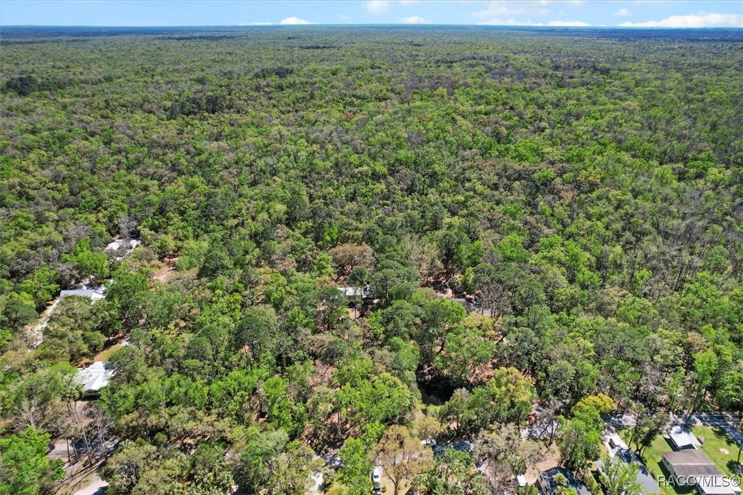 9410 W Spring Cove Road, Homosassa, Florida image 45