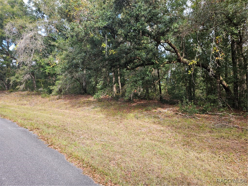 593 E Abend Drive, Citrus Springs, Florida image 8