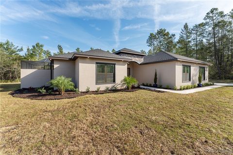 A home in Citrus Springs