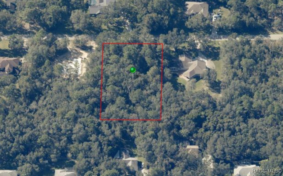893 W Pearson Street, Hernando, Florida image 1