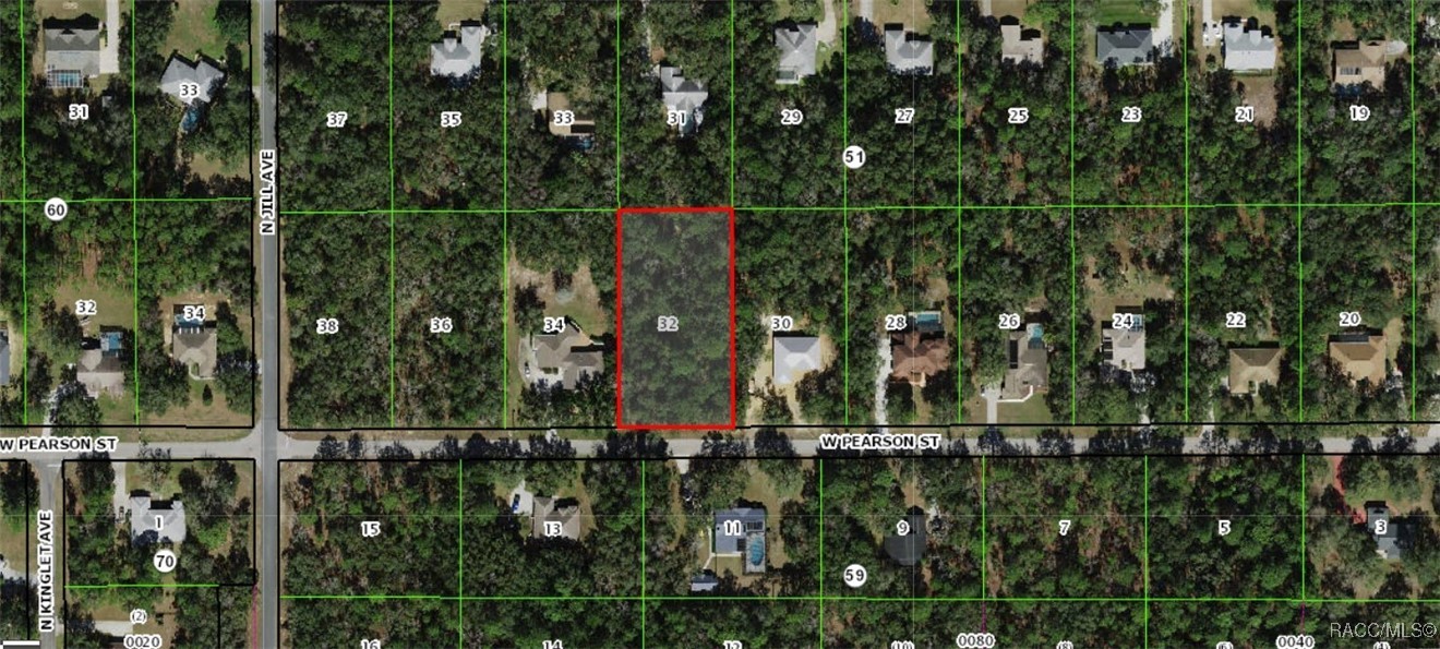 893 W Pearson Street, Hernando, Florida image 2