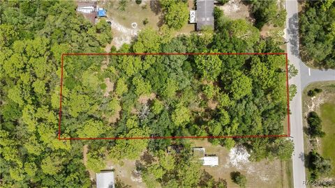 Vacant Land For Sale - 1672 S Colonial Avenue<br/> Homosassa, FL 34448