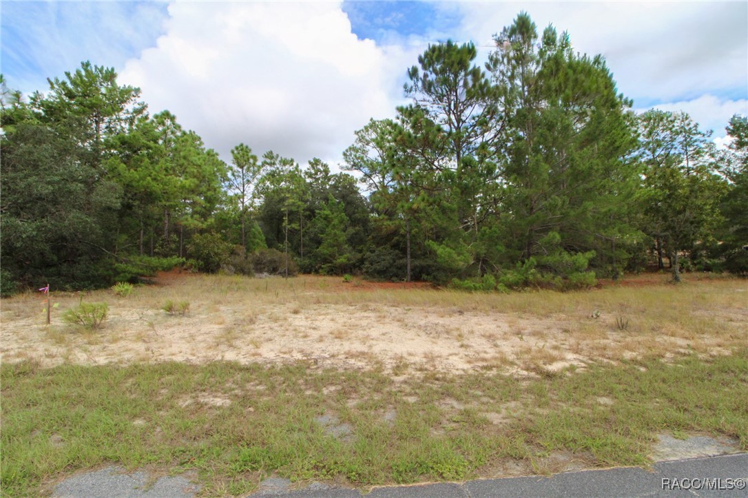 5873 W Conestoga Street