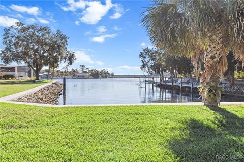 A home in Homosassa