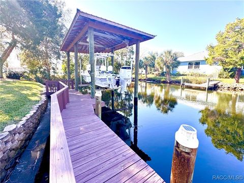 A home in Homosassa