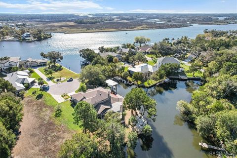 A home in Homosassa