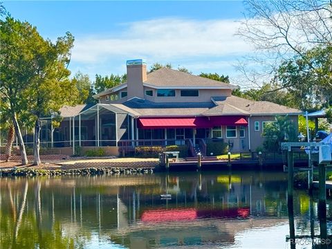 A home in Homosassa