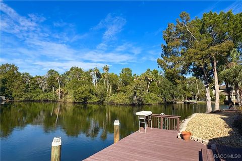 A home in Homosassa