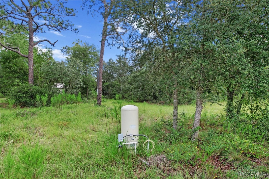 11550 SE 30th Street, Morriston, Florida image 8