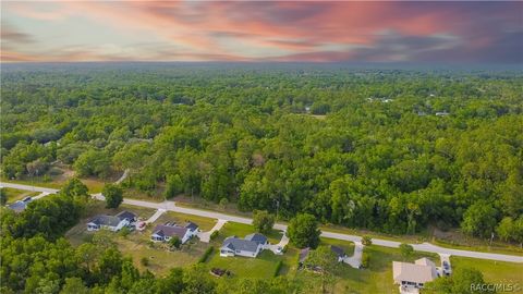 Homes For Sale - 2665 E Steven Street<br/> Inverness, FL 34453