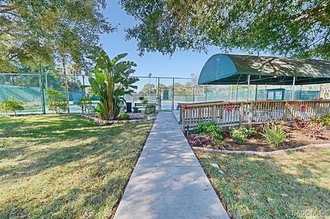 A home in Homosassa