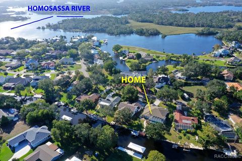 A home in Homosassa